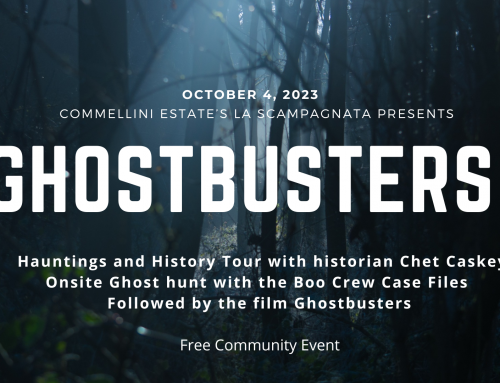 10/4 Free Outdoor Movie: Ghostbusters